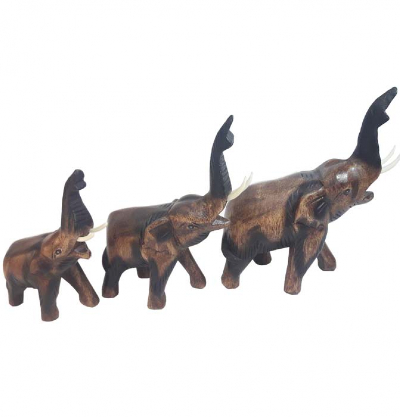 فیل سه تایی تایلند