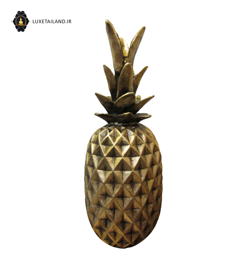 آناناس رزین سایز متوسط