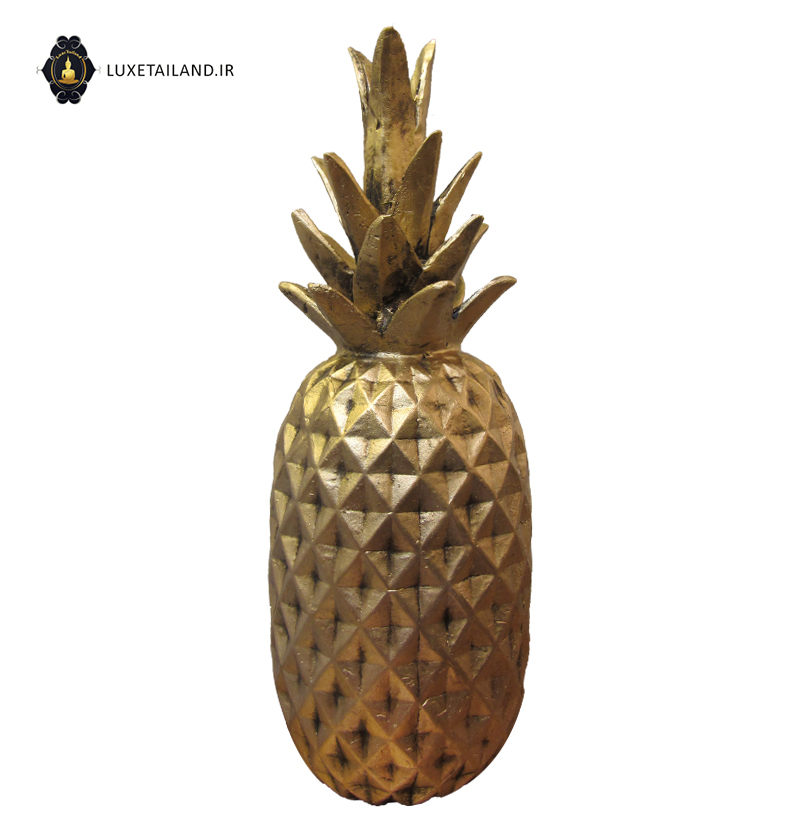 آناناس رزین سایز بزرگ